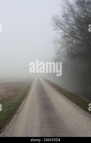 Landstraße an einem nebligen Tag im Winter, umgeben von einem Wasserstrom und einem Feld Stockfoto