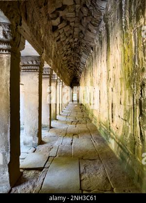 Ein überdachter Steinkorridor am Ta Prohm Tempel im berühmten Angkor Komplex in Kambodscha. Stockfoto