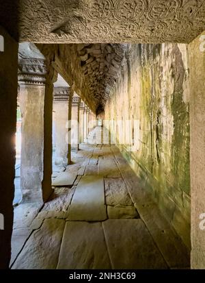 Ein überdachter Steinkorridor am Ta Prohm Tempel im berühmten Angkor Komplex in Kambodscha. Stockfoto