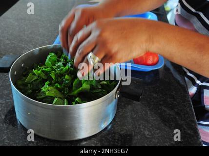 Kürbisblätter werden verwendet, um eine gesunde Mahlzeit in Südafrika zuzubereiten. Ökologischer Landbau ist in ländlichen Häusern auf dem Lande weit verbreitet Stockfoto