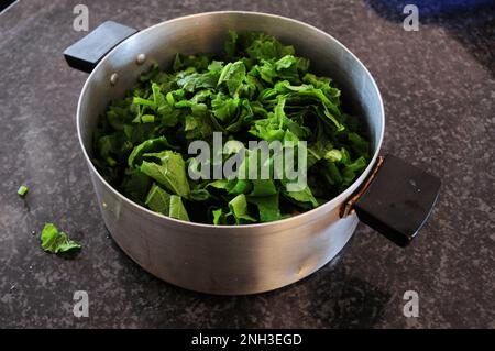 Kürbisblätter werden verwendet, um eine gesunde Mahlzeit in Südafrika zuzubereiten. Ökologischer Landbau ist in ländlichen Häusern auf dem Lande weit verbreitet Stockfoto