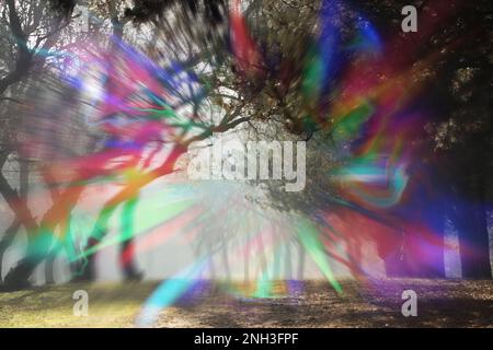 Blick auf den Wald und Blitzlichteffekt. Migräne Aura, Krankheitssymptom Stockfoto