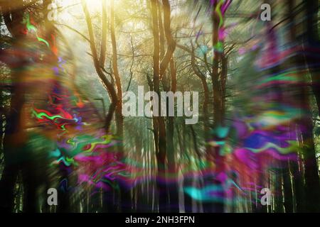 Blick auf den Wald und Blitzlichteffekt. Migräne Aura, Krankheitssymptom Stockfoto