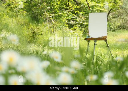 Staffelei mit leerer Leinwand und Malmaschinen in malerischer Landschaft Stockfoto
