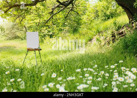 Staffelei mit leerer Leinwand und Malmaschinen in malerischer Landschaft Stockfoto