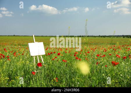 Hölzerne Staffelei mit leerer Leinwand im Mohnfeld an sonnigen Tagen Stockfoto