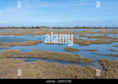 Blick auf das Pagham Harbour RSPB Local Nature Reserve an einem sonnigen Wintertag, West Sussex, England, Großbritannien Stockfoto