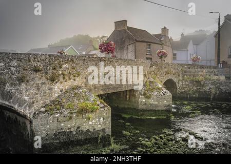 Alte Steinbrücke über den Fluss Deel im Stadtzentrum von Askeaton, CO Limerick, Irland Stockfoto