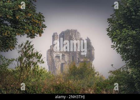 Ruinen von Desmond Castle am Fluss Deel in Askeaton, CO Limerick, Irland Stockfoto