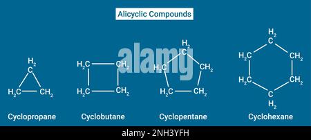 Alicyclische Verbindungen: In Ringen vorhandener Kohlenstoff wird durch einzelne kovalente Bindungen verbunden Stock Vektor