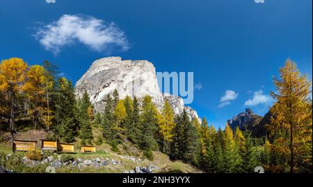 Bergszene der Alpin im Herbst, Sudrol, Italien. Ruhiger Blick in der Nähe von Wolkenstein in Groden, Wolkenstein in Gröden. Malerisches Reisen, Saison Stockfoto