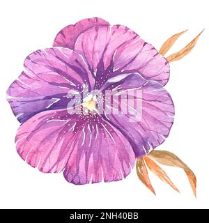 Aquarellzeichnung einer lila Pansies-Blume auf weißem Hintergrund für das Produktdesign Stockfoto