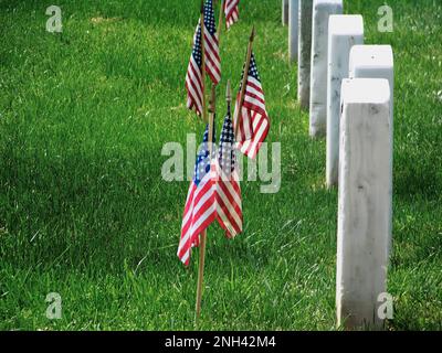 Auf dem Nationalfriedhof von Arlington zu Ehren des Memorial Day werden kleine amerikanische Flaggen vor den Grabsteinen gepflanzt. Stockfoto