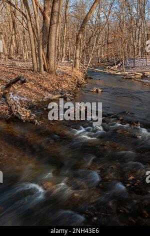 Hammel Creek fließt durch einen Winterwald mit Erwartung für die ersten Frühlingsseiten in nur wenigen Wochen, Hammel Woods Forest Preserve, will Coun Stockfoto