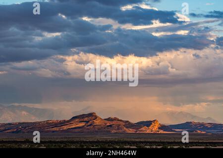 Die Kumuluswolken bilden sich mit Regen und verdecken teilweise die La Sal Berge in der Wüstenmonsunsaison. Moab, Utah. Stockfoto