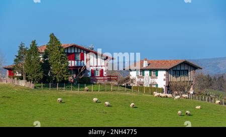 Traditionelle baskische Bauernhäuser auf dem Berg in Zugarramurdi, Spanien, in der Provinz Navarra, im spanischen Baskenland Stockfoto