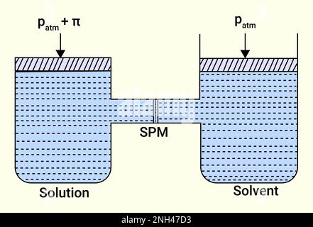 Chemischer Prozess aus Lösung und Lösungsmittel (SPM) Stock Vektor