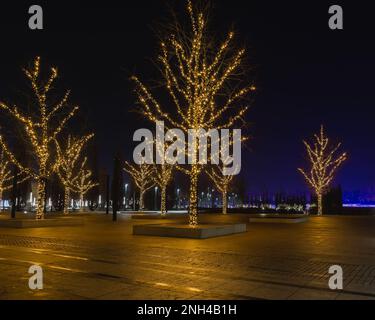 Russland, Krasnodar - 04. Januar 2023: Girlanden auf Bäumen im Park Galicki in Krasnodar Stockfoto