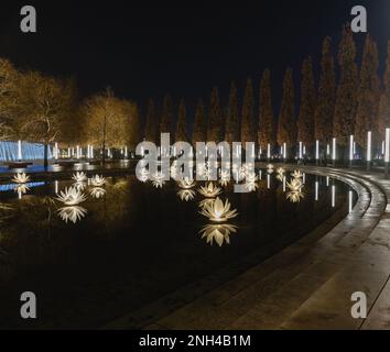 Russland, Krasnodar - 04. Januar 2023: Lampen-Blumen auf dem Wasser im Park von Galicien. Weiße Lotusse Stockfoto