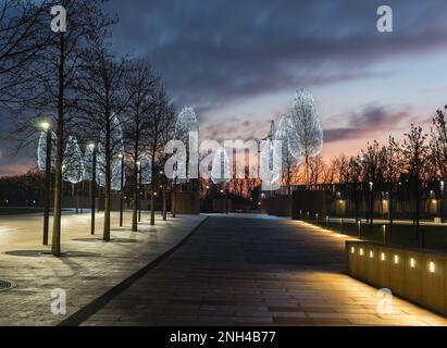 Russland, Krasnodar - 04. Januar 2023: Eine Gasse mit Girlanden aus Bäumen im galizischen Nachtpark in Krasnodar. Früh am Morgen Stockfoto