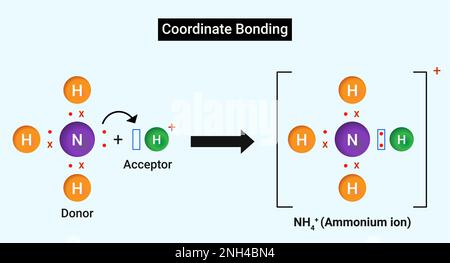 Koordinatenverbindung: Das Oktett eines Atoms muss vollständig sein und mindestens ein einzelnes Elektronenpaar haben. Stock Vektor