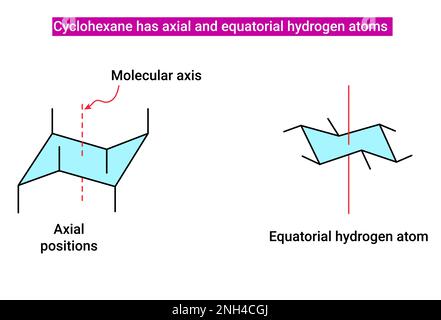 Cyclohexan hat axiale und äquatoriale Wasserstoffatome Stock Vektor
