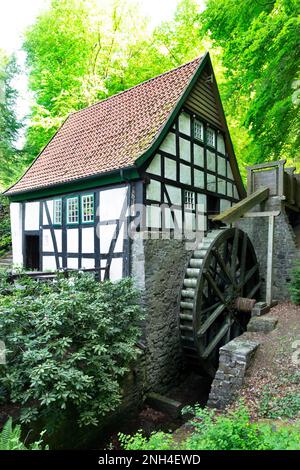 Historische Wassermühle aus dem Jahr 1780, Bad Essen, Niedersachsen, Deutschland Stockfoto