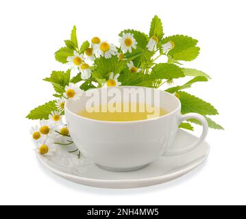 Kamillentasse mit Blumen und Zitronenbalsam isoliert auf Weiß Stockfoto