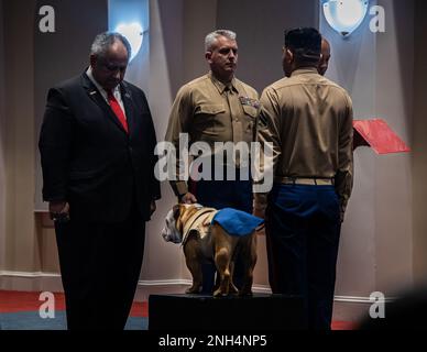 Sergeant Major Jesse J. Dorsey, Sergeant Maj von Marine Barracks Washington, liest den Beförderungsbefehl von PFC Chesty XVI, Maskottchen des Marine Corps, während einer Beförderungszeremonie am 13. Dezember 2022. Chesty XVI, wurde vom ehrenwerten Marinesekretär Carlos Del Toro in den Rang der Private First Class befördert. Stockfoto