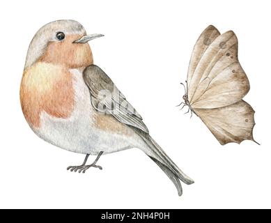 Robin Vogel und Schmetterling Aquarell Illustration. Wunderschöner Singvogel Erithacus rubecula. Helles Waldtier. Stockfoto