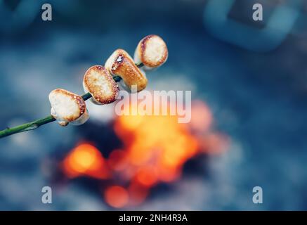 Nahaufnahme des gerösteten Marshmallows auf dem Stock über dem Feuer. Stockfoto