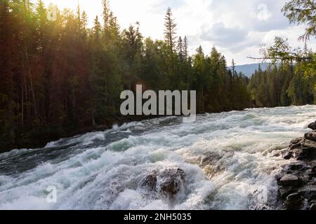 Fließender Fluss im Wald von BC mit Sonnenstrahlen Stockfoto