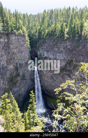 Wasserfall aus vulkanischem Felsen im alten Wald Stockfoto