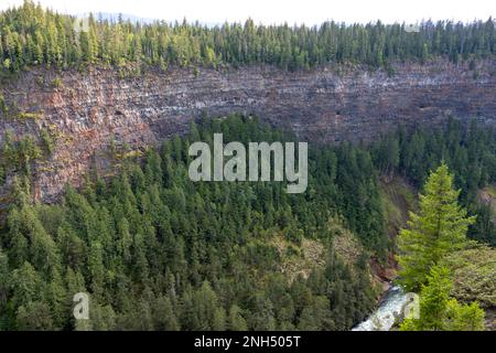 Riesige Felswände im Wald von BC Stockfoto