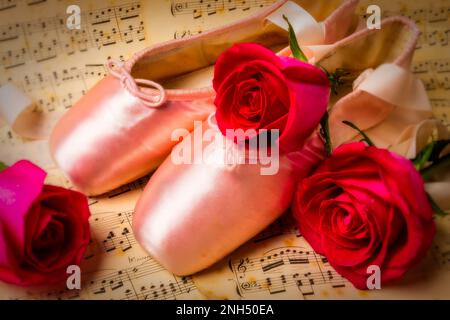 Hausschuhe mit roter Rose Stockfoto