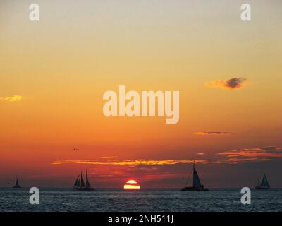 Beobachten Sie die Segelboote vom Mallory Square in Key West Florida, während die Sonne über dem Ozean untergeht. Stockfoto