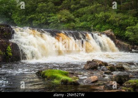 Aasleagh Falls am Erriff River mit einem grünen, üppigen Wald im Hintergrund. Wasserfall am rauschenden Fluss, County Mayo, Irland Stockfoto