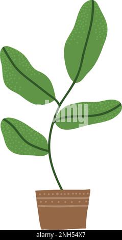 Andere tropische Hauspflanze. Ficus, Monstera, protea, Pellaea, saftig in verschiedenen Töpfen, Vase. Skandinavisches gemütliches Dekor. Flachvektor-Cartoon Stock Vektor