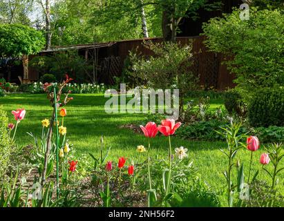 Ein herrlicher Blick auf den Garten neben dem Cottage im florierenden Nemchinovka Viertel nicht weit von Moskau. Rote Tulpen und Gartenweg, grünes Gras und Stockfoto