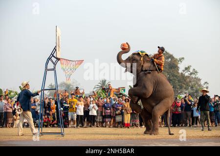 Xayaboury, Laos. 20. Februar 2023. Besucher können beim Elephant Festival in Xayaboury, Laos, am 20. Februar 2023 einen Elefantenauftritt erleben. Kredit: Kaikeo Saiyasane/Xinhua/Alamy Live News Stockfoto