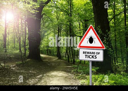 Warnschild Vorsicht vor Zecken im Wald an sonnigen Tagen Stockfoto