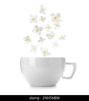 Wunderschöne Jasminblumen, die in eine Tasse heißen, frisch gebrühten Tee auf weißem Hintergrund fallen Stockfoto