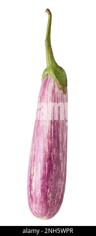 Aubergine oder Brinjal, auch Aubergine genannt, gemeines Gemüse, isoliert auf weißem Hintergrund Stockfoto