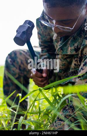 USA Enrique Fletcher, ein Techniker für Flugsicherung und Navigationshilfen beim Marine Air Control Squadron (MACS) 4, greift während der Marine Aviation Support Activities 22-2, 19. Juli 2022, Subic Bay, Philippinen, am internationalen Flughafen Subic Bay auf. MASA 22-2 ist eine bilaterale Übung zwischen den Streitkräften der Philippinen und den USA Marine Corps, das darauf abzielt, die Interoperabilität zu erhöhen und die Fähigkeiten im Bereich der Luftfahrt zu verbessern, um die gegenseitige Verteidigung zwischen den USA und den Philippinen zu unterstützen. Stockfoto