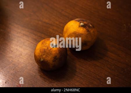 Mandarinen-Orangen auf Holztisch. Orange im Bild ist ein wenig abgenutzt und schimmelig geworden. Stockfoto