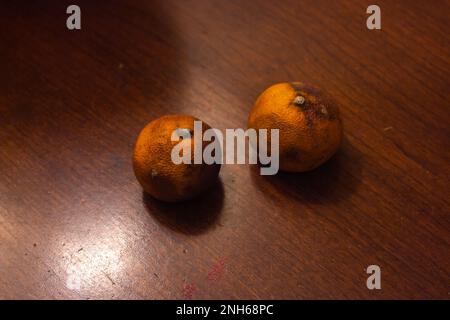 Mandarinen-Orangen auf Holztisch. Orange im Bild ist ein wenig abgenutzt und schimmelig geworden. Stockfoto