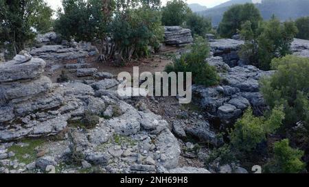 Graue Felsformationen zwischen grünen Bäumen. Malerischer Blick auf ungewöhnliche graue Steine. Manavgat, Antalya, Türkei. Stockfoto