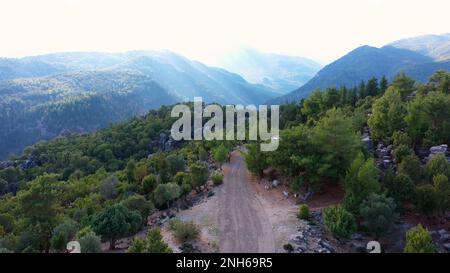 Auf dem Gipfel des Berges inmitten immergrüner Bäume. Straße auf dem Gipfel des Berges. Stockfoto