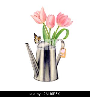 Eisenglasbewässerung kann mit einem Strauß rosa Tulpen und einem Schmetterling in Aquarellfarben gepflanzt werden Stockfoto