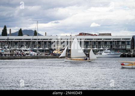 Großsegler auf dem Wasser, Großsegler beim Holzbootfestival in hobart, tasmanien, australien im Hafen Stockfoto